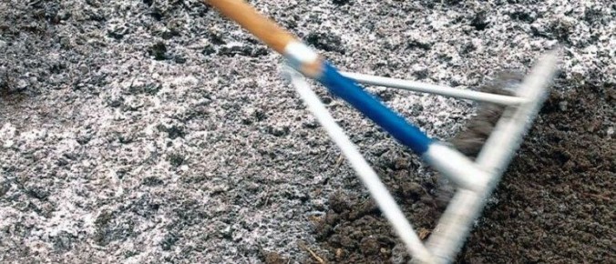 Как кислотность почвы определяет судьбу растений и их урожай