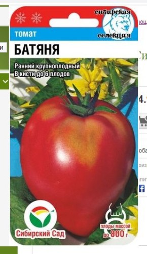 �������� ���: ����� ������������ ����� ����������� ��������