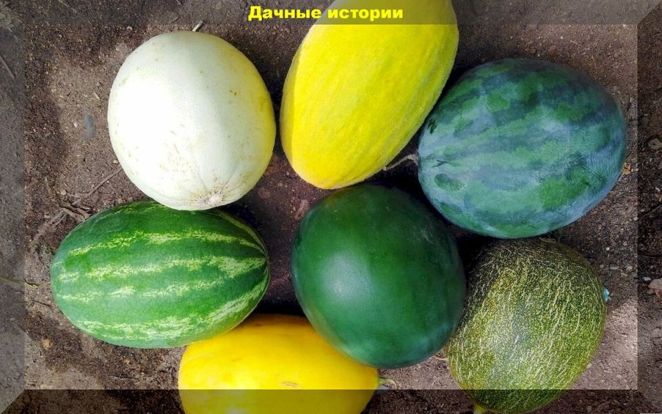 ����� ����� � ������� ��������: ��� ����������� ����������� �� ����