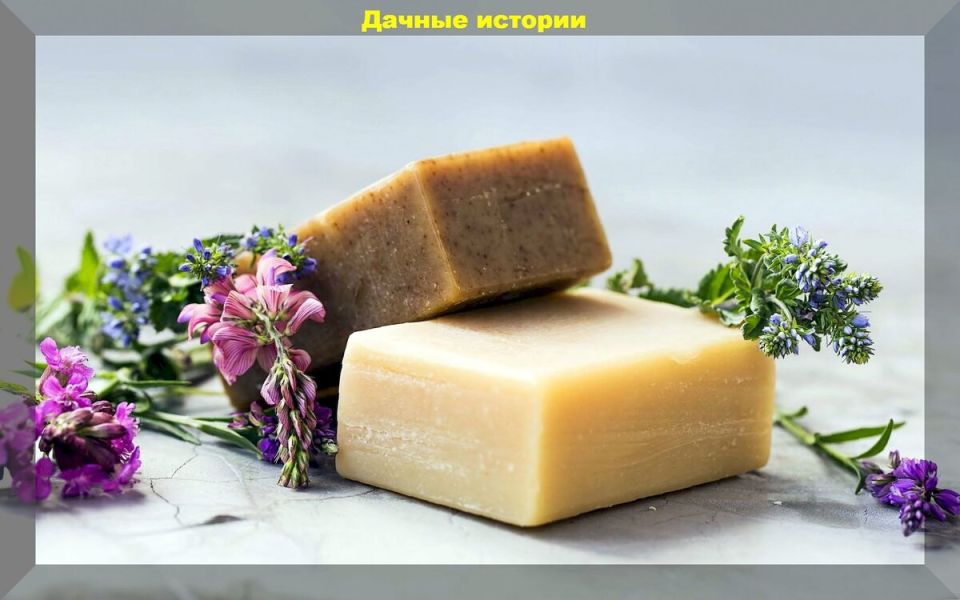 ������������� ����: ������������� �������� �� ������ �������