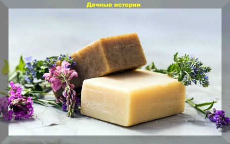 Хозяйственное мыло: универсальный помощник на дачном участке