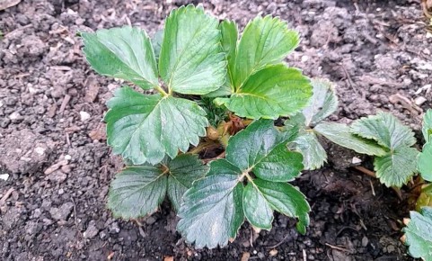 ���� �� ��������� ������: ������� � �������� ������