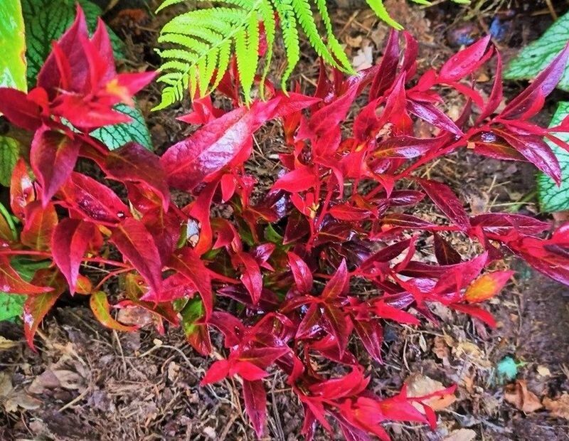 ������������ �������: ��� ������������ �������� ����� ���������� ������� ����