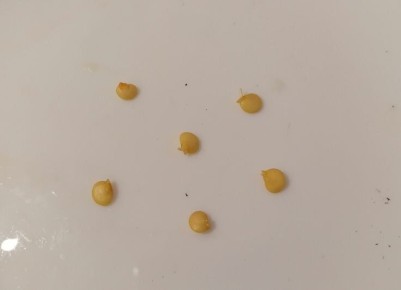 ������������� ������� ��� ��������� ����������� ����� � ����������� ������� ����������