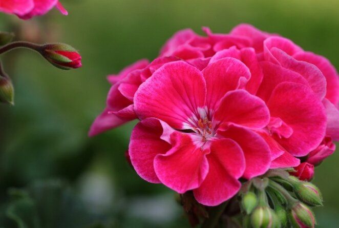 ����� ������ ������: ��� �������� ���������������� ������ � ����� �� ���������