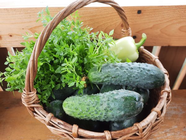 ������� ��������� ����������� �������: ��� ��������� ������� �����