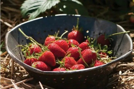 ���������� ��������: �������� � ��������� ������ ���������� ������