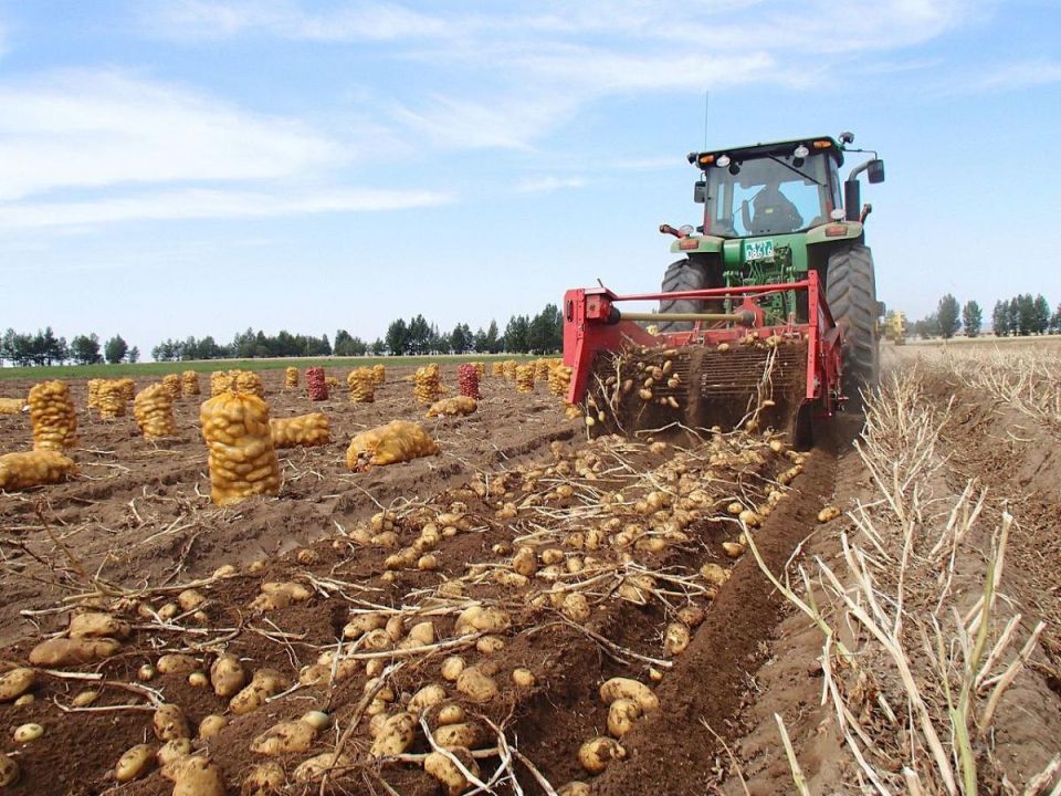 ��� ��������� ��������� ��� ���������: ������� ��������� ������