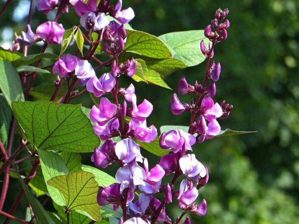 ��� �������� � 2026 ����: ����� �����, ������� ������ ������