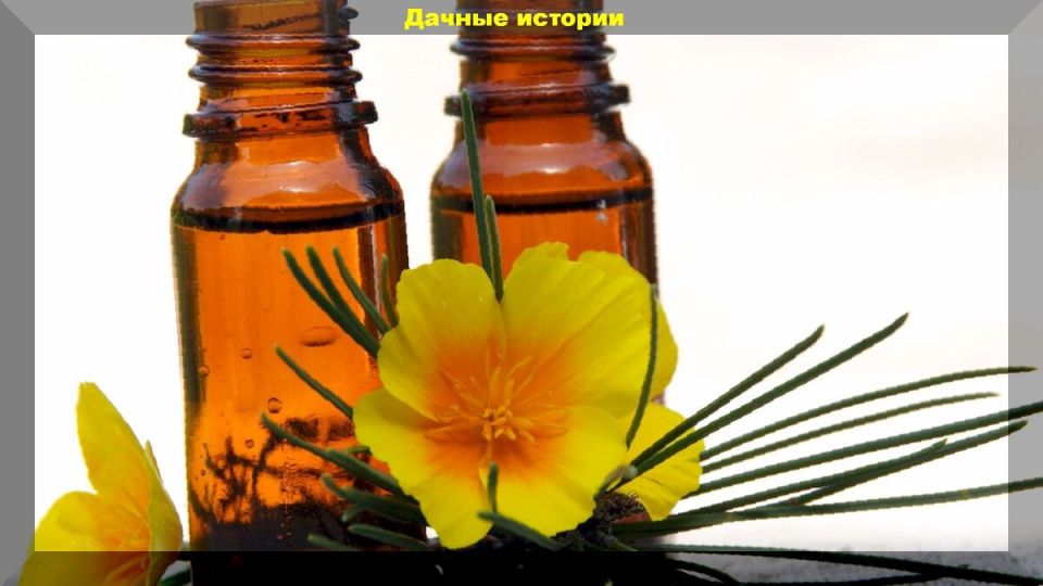 �������� �� ����: ������� ������������ �������������