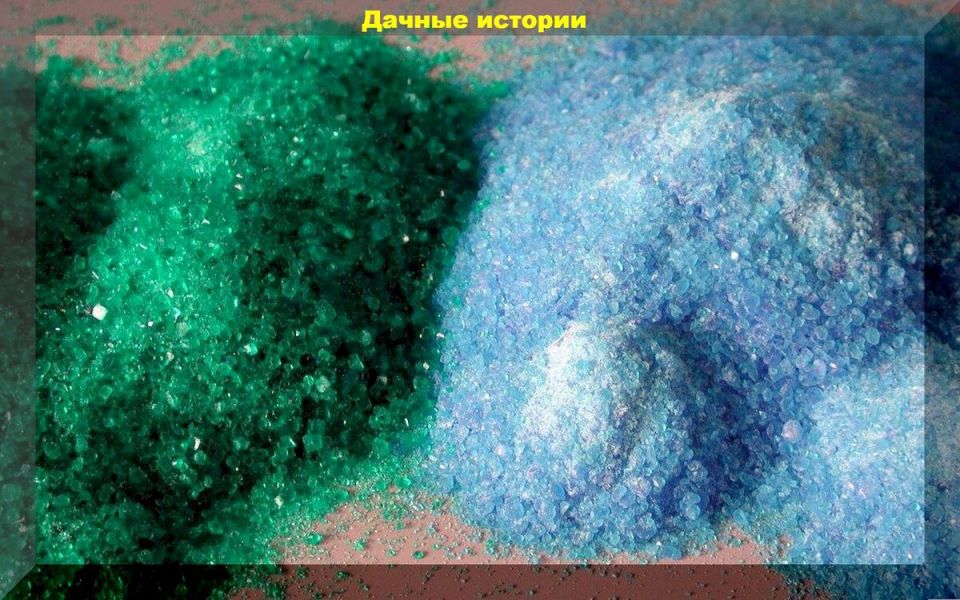 ������������ ��������� ����: ��� �������� �������� �� �������� � ����������