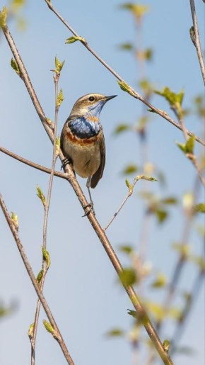 ��������� ����, ������������ ������� ������ � ����������� ����������!