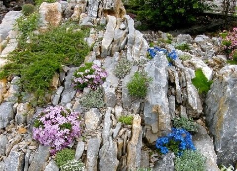 Чешская скалка: новая эра в ландшафтном дизайне