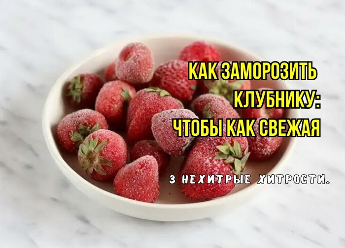 Секреты правильной заморозки клубники: три ключевые ошибки