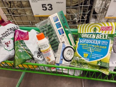 Садоводы готовятся к зиме: что не забыть на посадку осенних культур