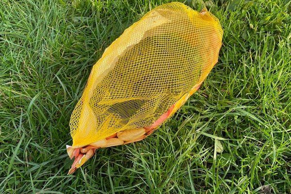 ��� ����� ��-��� ��������� � ������� ����� �������� ��� ������