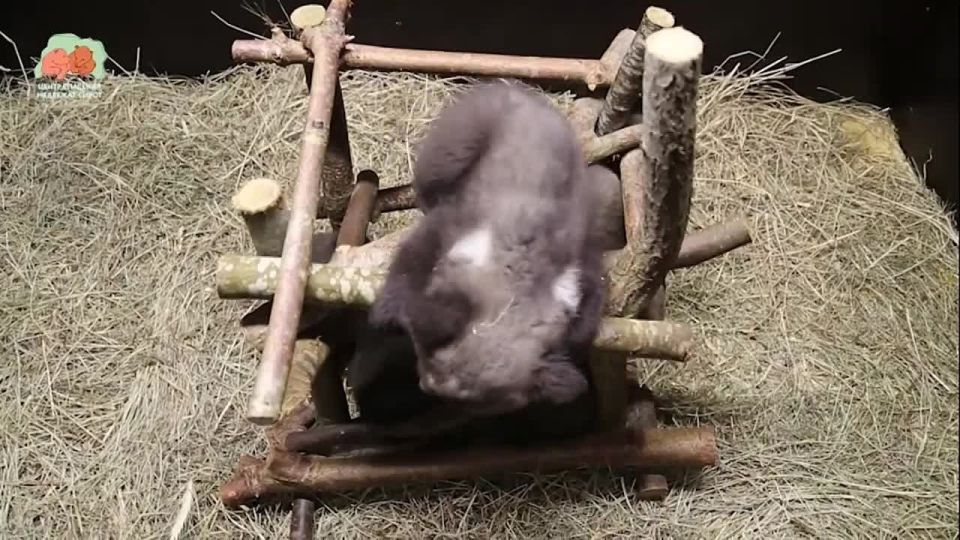 ��������� � ������� ������ �������� ��������� ��������� ���� ��������� � �������� �������� �����