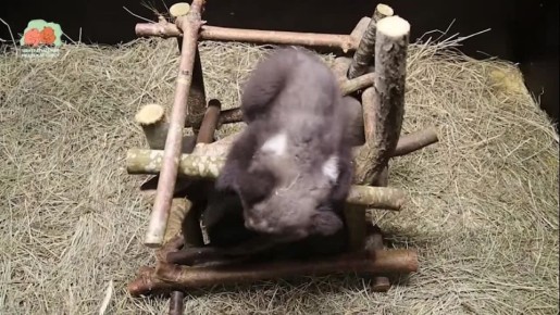 ��������� � ������� ������ �������� ��������� ��������� ���� ��������� � �������� �������� �����