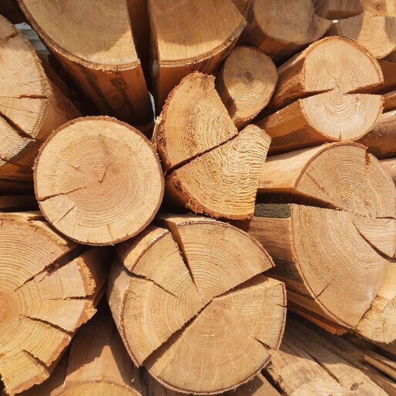 ������� �� �������� � ����� ����� ��������� ������ ������� ��������������