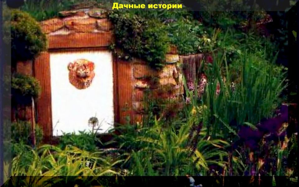 ������� ����������� �������� �����: ���������� ���� �� ������ ������