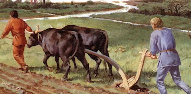 ������ ������� ����������� ��� ���������� ��-�������� ��� �����������