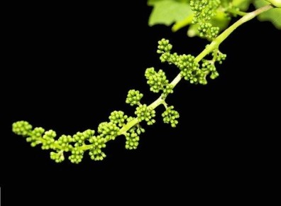 ��� �������� �������� �� ���������� � ��������: ������ ��������� � ����� ��������