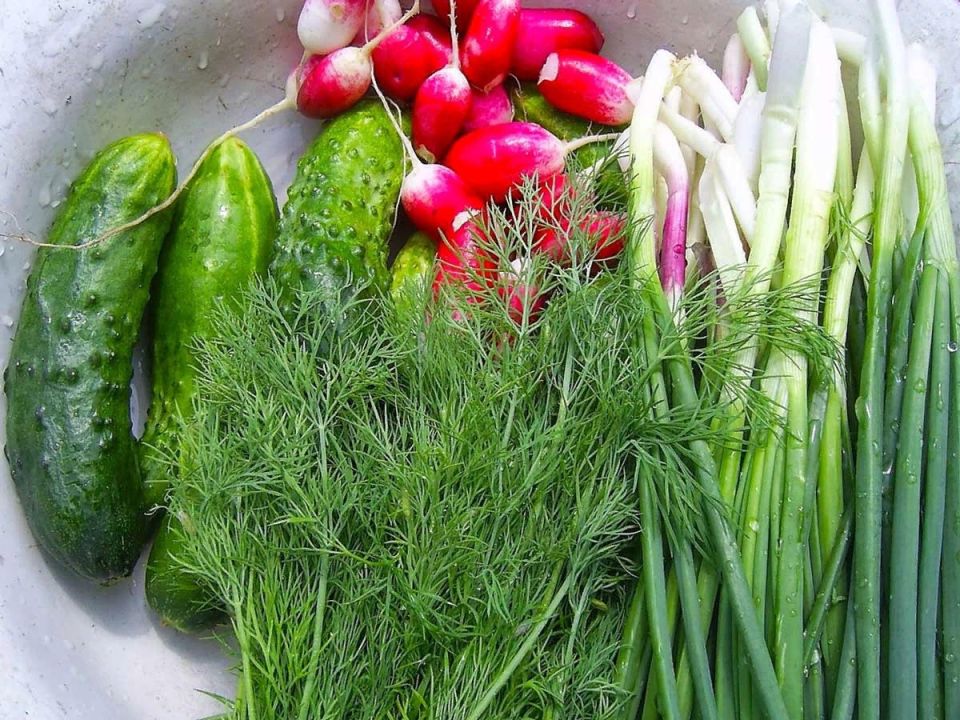 �����: ����� ������ � �������� � ����� ����