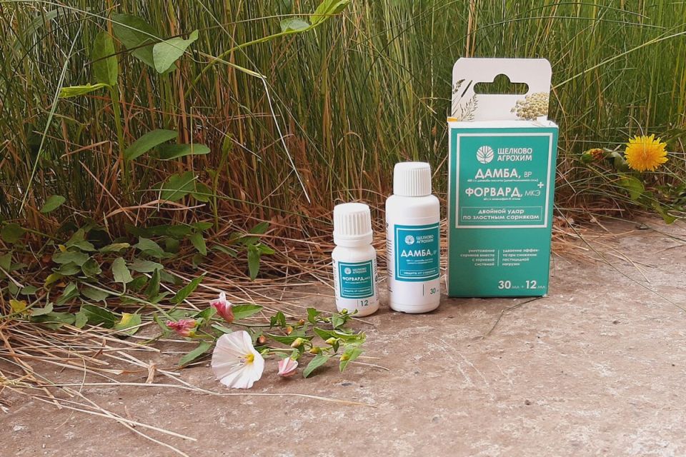 ����������� ������ �� ��������� ���������: ����������� ����� ������ � ��������