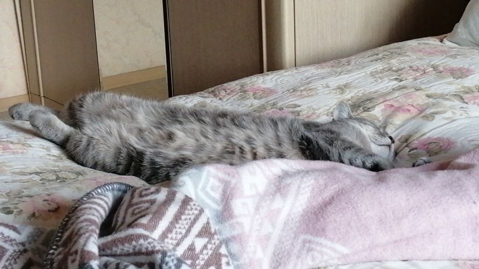 ���-������-������: ������������ ����� ���������