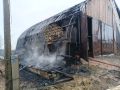 46 телят спасли на пожаре в телятнике в Дебесском районе Удмуртии