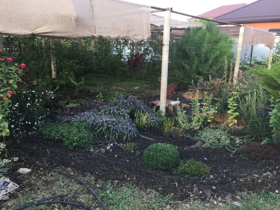 ������ �����: ������� ������� ��� ���������� �������