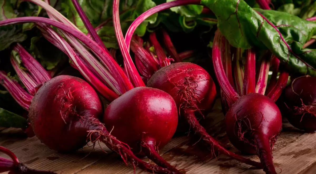 Топ-5 секретов успешного выращивания сладкой свеклы