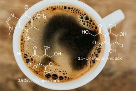 ����: ����� ��� ��������������� �������? ����������� � �����