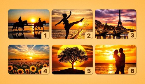 ��� ������ �������� ���� ��������: ���������� ����� ����