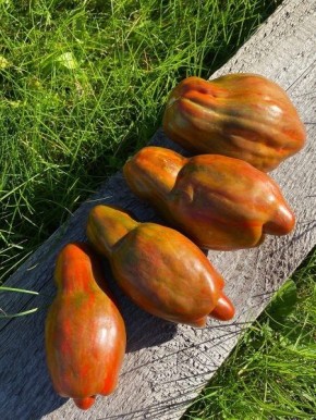 Томат «Посох плодородия»: секреты высоких урожаев и неординарного вкуса