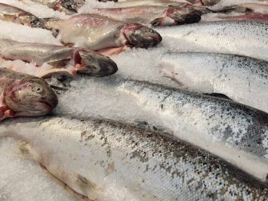 ��������� ������������� �������: ����� ���� ���� �� �������