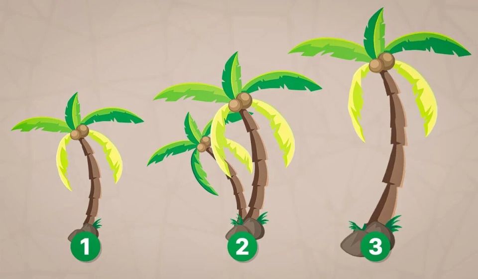 ���� �� �����������: ������� ���� ���������� �������