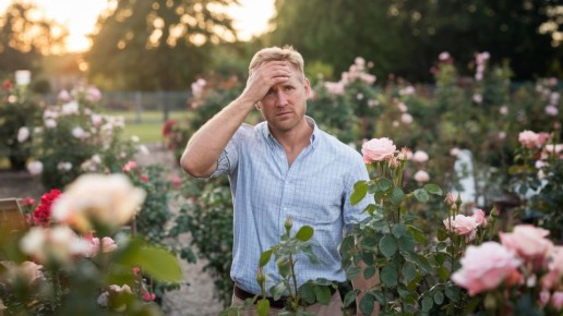 Как защитить свои домашние розы: простые советы по борьбе с вредителями и болезнями