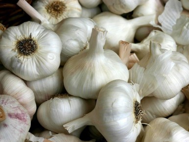 �������, �� ������� ������ ���������� ������: ������ ��������� � �� �����������