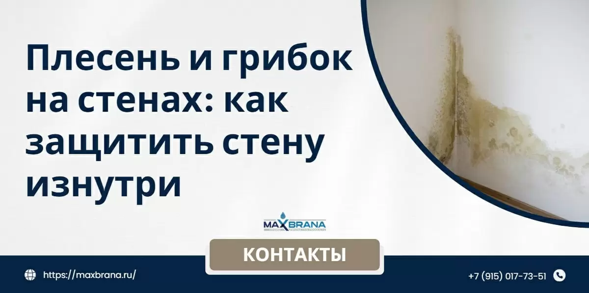 Как эффективно защитить стены от плесени: советы по гидроизоляции