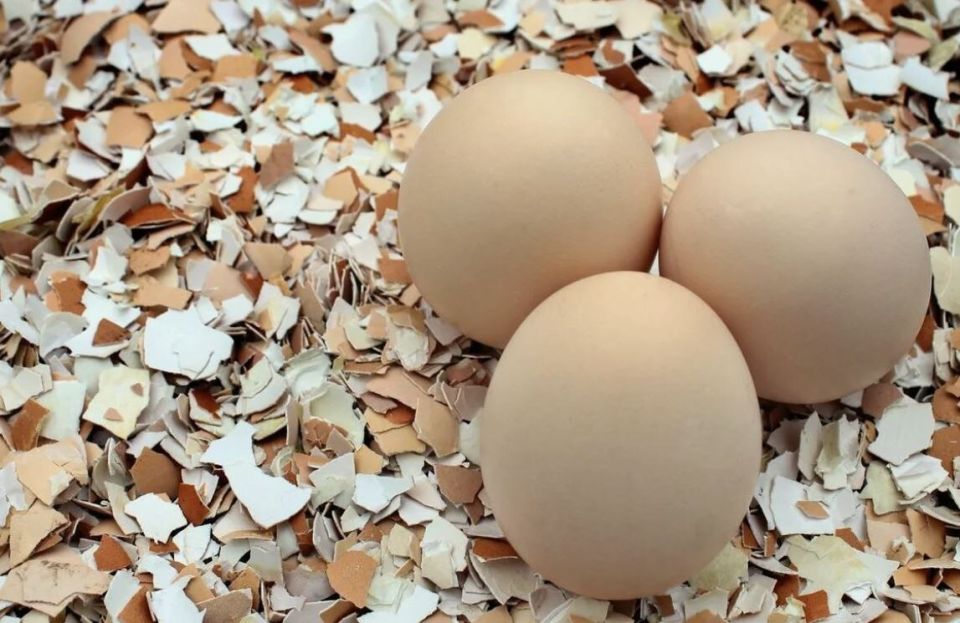 ���� ������� � ����������� �������� �������� ������ ��� ������ ������