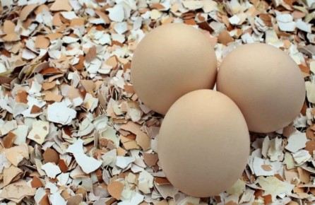 ���� ������� � ����������� �������� �������� ������ ��� ������ ������