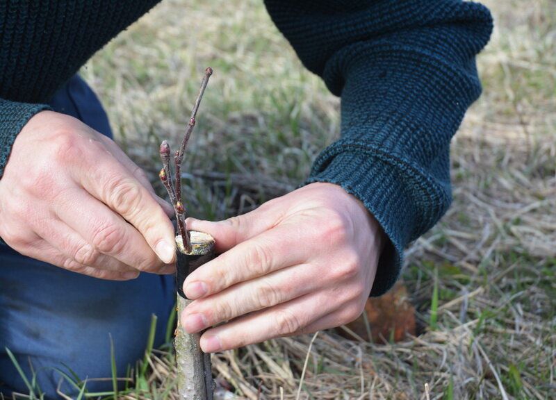 ��� ��������� ������� ������: �������� ������ � ������������