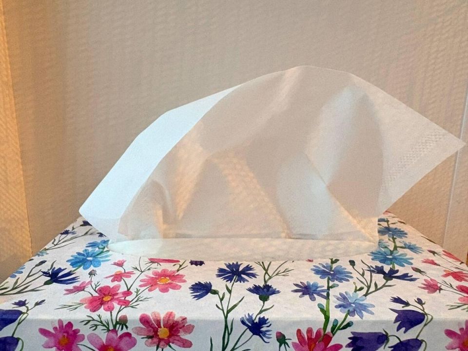 ������� ���������: �� �������� ������� �������� � ������