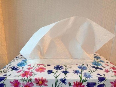 ������� ���������: �� �������� ������� �������� � ������