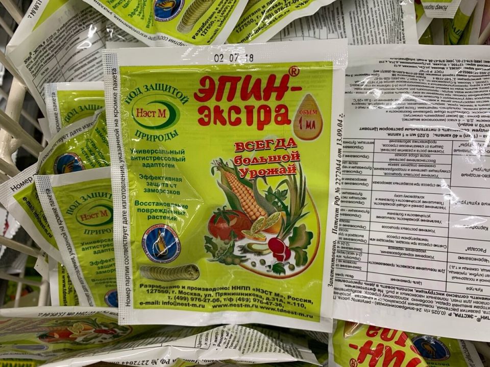 ����-�������� ��� ������ ����