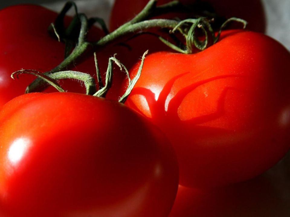 ��������� ���������: ��� ������ � ����� �������� ������� ������ �� �������