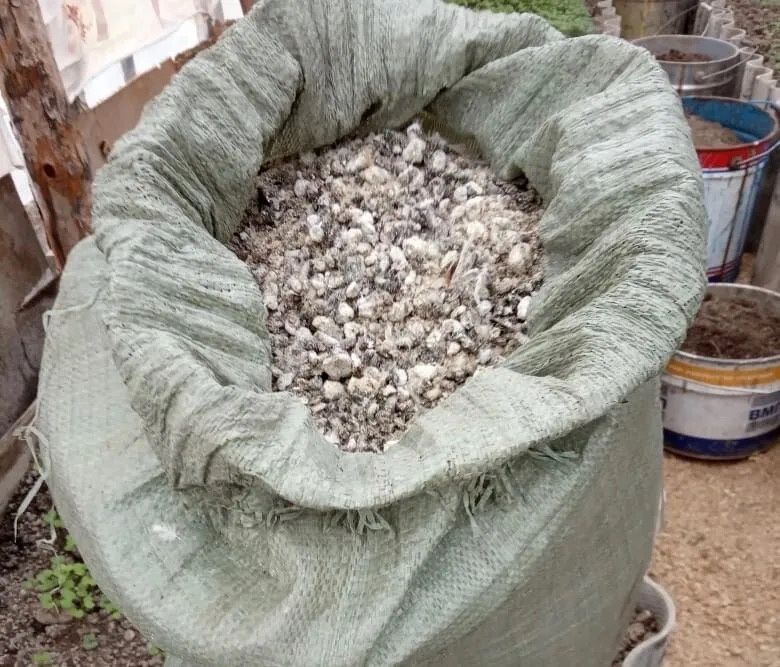 ������ ������������� ������� �������� ����� ����� ���� ������� ��� ������ �������