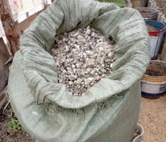 Почему использование свежего куриного помёта может быть опасным для вашего огорода