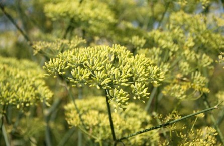 ���� � �������: ������� ���������� �������� ��� �������� � ���������